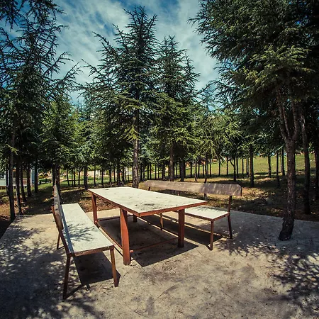 Apartment Crown Club Sveti Vlas